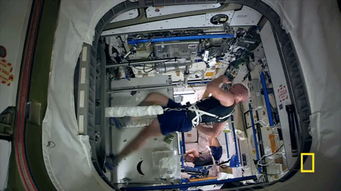 one strange rock GIF by National Geographic Channel