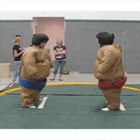 sumo GIF