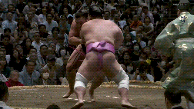 TZ85 giphyupload sumo kirishima ura GIF