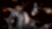 trulysocial genie gene simmons kiss cow GIF