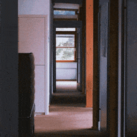 d-velop jeff sneaking rolle dvelop GIF