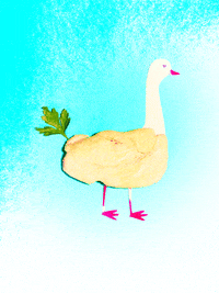 GIF by Liberation.fr