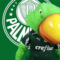 Palmeiras happy soccer feliz futebol GIF