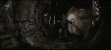 Star Wars GIF