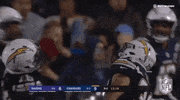 2018 Nfl Football GIF by NFL