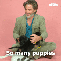 Chris Pine Puppies GIF by BuzzFeed