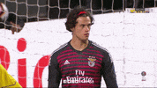 sl benfica slbgifs GIF by Sport Lisboa e Benfica