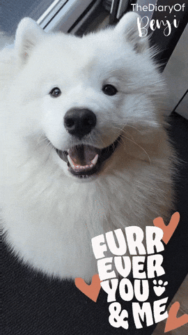 For Ever Love GIF