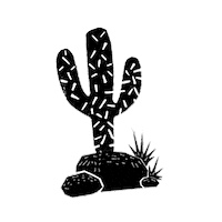 Cactus Nordeste Sticker by Cabok-lo