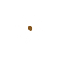 Daisy Flower Sticker