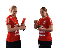 Cheers Floorball Sticker by Storvreta IBK