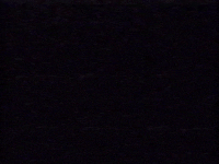 Vhs Software GIF by Squirrel Monkey