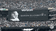 Regular Season Football GIF by NFL
