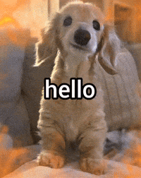 Good Morning Hello GIF