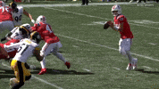 Hunter Henry Football GIF by New England Patriots
