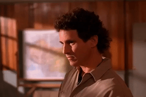 season 1 GIF by Twin Peaks on Showtime
