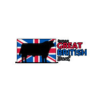 AberdeenAngusCS back british farming support british beef great british beef Sticker