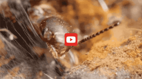 GIF by KQEDScience