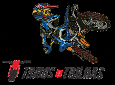 tribos giphygifmaker fox cross motocross GIF