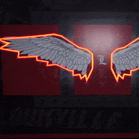 College Football Sport GIF by Louisville Cardinals