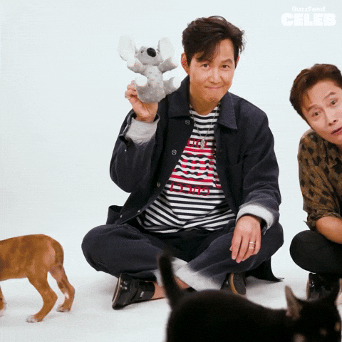 Lee Jung Jae Puppy GIF by BuzzFeed