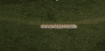 Lacrosse GIF by Lafayette Leopards