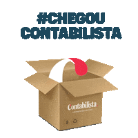 contabilista contabilista contabilistasuprimentosparaescritorio chegoucontabilista Sticker
