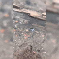 Camera GIF by 1990retro