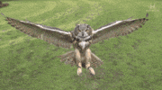 Fly Flying GIF by Honda