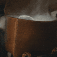 phillycreamchs philadelphia philly creamcheese saddlebag GIF