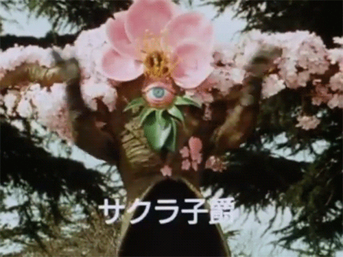 flowers GIF by Testing 1, 2, 3