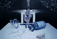 Dog Show GIF by Jazmin Bean