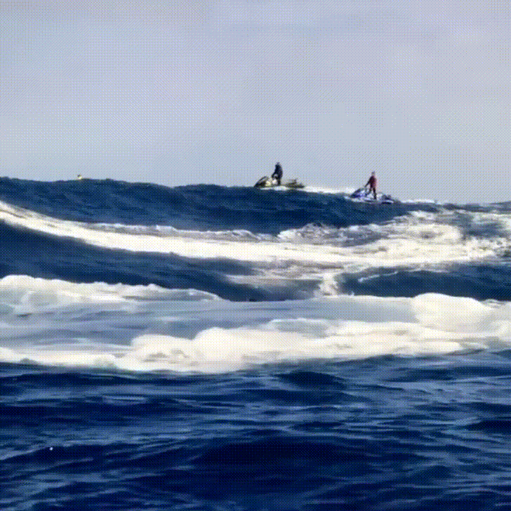 sea monster surf GIF