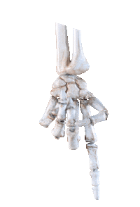 0fish0 animation halloween horror look Sticker