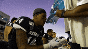 NevadaWolfPack football nevada wolf pack unr GIF
