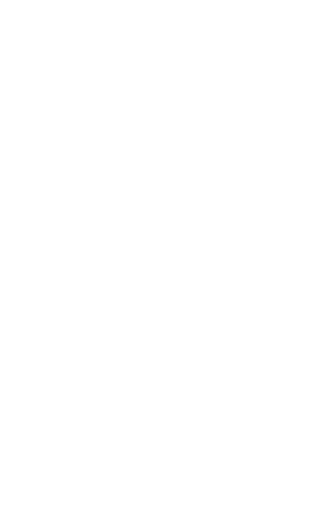 Illustration Star Sticker