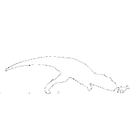 T Rex Running Sticker by Official JWE Team
