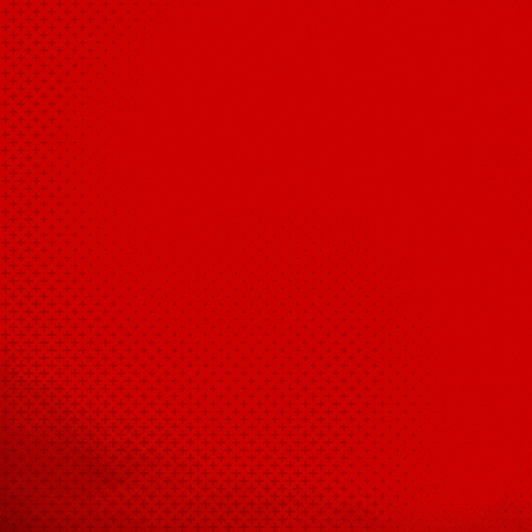 Posing Bayer 04 GIF by Bayer 04 Leverkusen