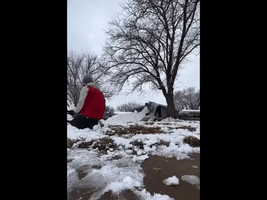 Texas Neighbors Sculpt Snow Dragon Following Wintry Bout