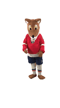 Hockey Sticker by Lillehammer Ishockeyklubb