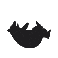 Laugh Lol Sticker by Visitpori