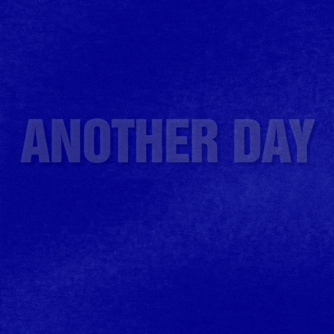 Another Day Paradise GIF by Jeopardy!