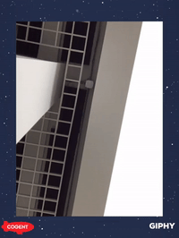 cogentpalooza GIF by Cogent World