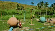 Challenge Rolling GIF by Survivor CBS