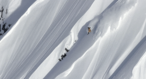GIF by Red Bull
