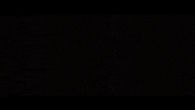 car dark GIF by Signaturee Entertainment