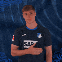 Sport Logo GIF by TSG Hoffenheim