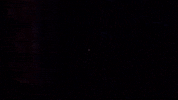 GenieInteractive horror spooky video game stop GIF