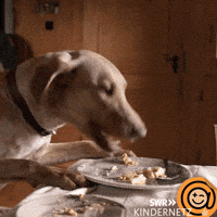 Fail Oh No GIF by SWR Kindernetz