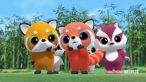 Surprised Red Pandas GIF by YooHoo to the Rescue